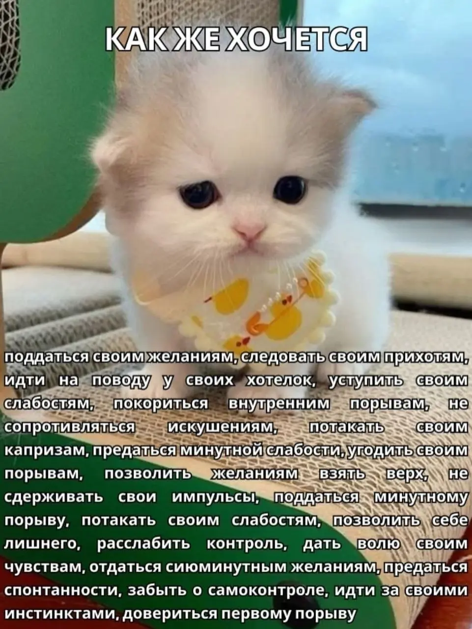 Лучшая жизнь 😂
От любимого клиента Александра ❤️
#Юмор@poldner #Коты@poldner | Сетка — социальная сеть от hh.ru