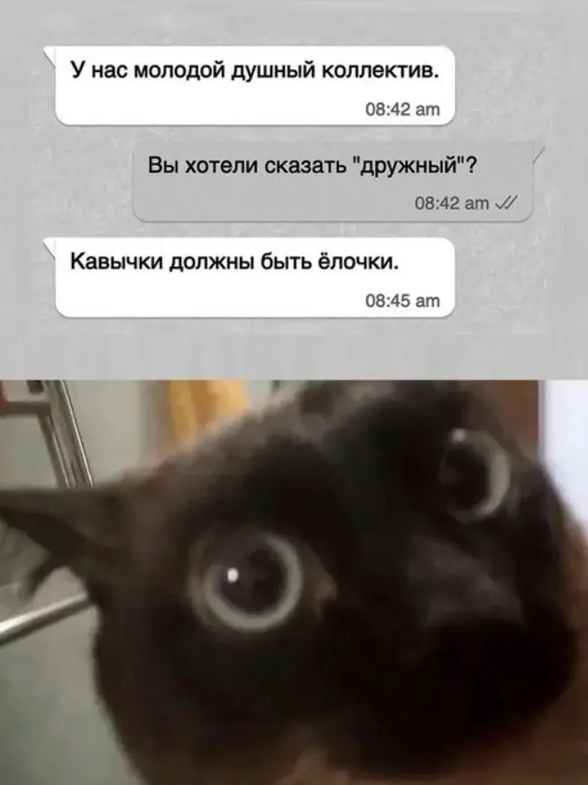 Сетка — социальная сеть от hh.ru