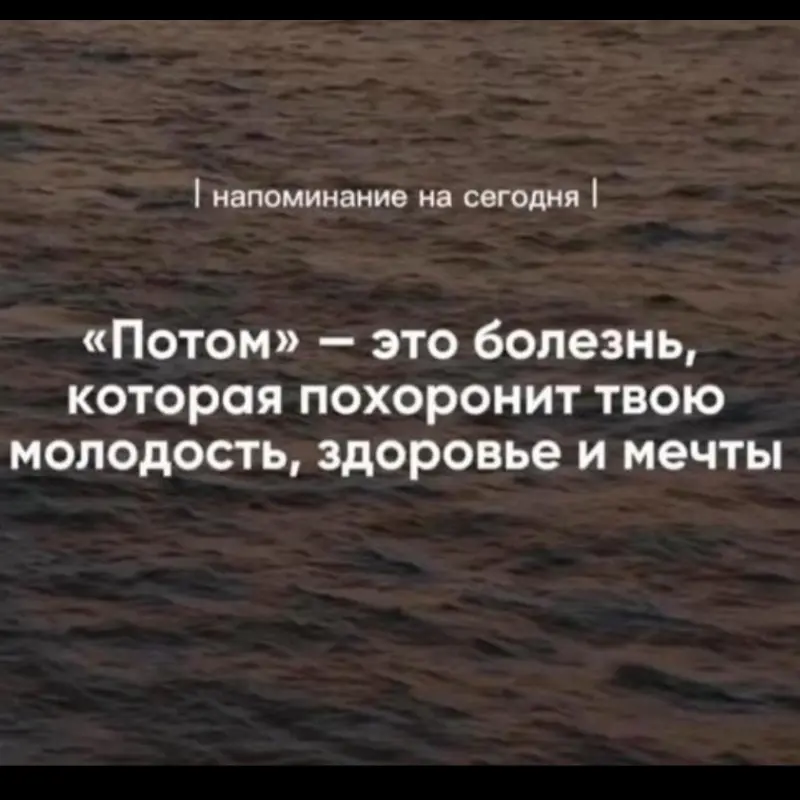 Сафия Грозненская | Сетка — социальная сеть от hh.ru