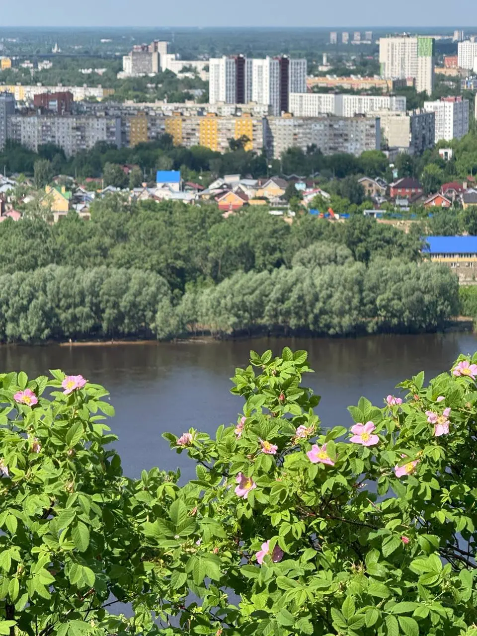 24.05.2026 | Сетка — социальная сеть от hh.ru