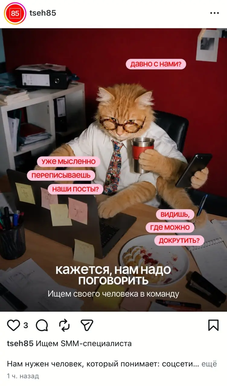 Цех85 ищет сммщика. Предыдущий уволился после креатива с шашлычным рафом | Сетка — социальная сеть от hh.ru