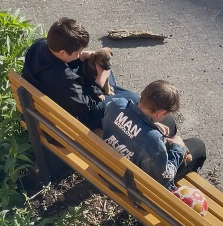 Сообщают, что в Мариуполе дети издевались над щенками и бросали их о землю | Сетка — социальная сеть от hh.ru