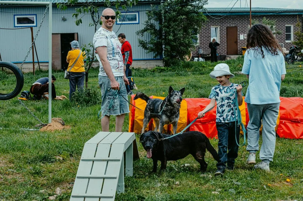 Мое утро воскресенья началось очень бодро — мы съедили в приют для собак и кошек "Ника" | Сетка — социальная сеть от hh.ru