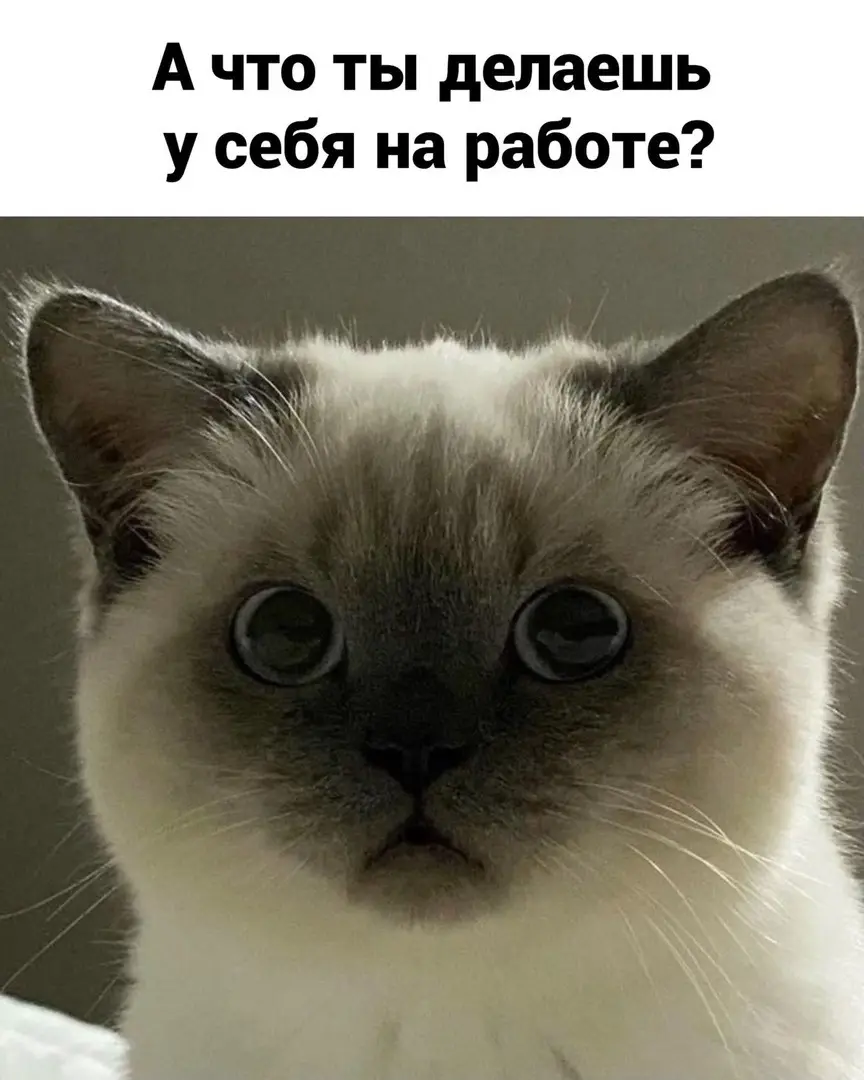 ~ тильте ~ | Сетка — социальная сеть от hh.ru