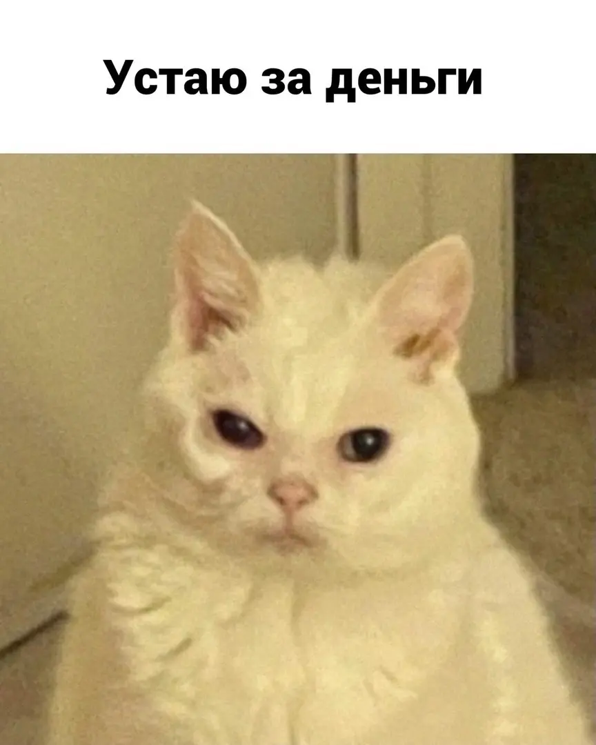 ~ тильте ~ | Сетка — социальная сеть от hh.ru