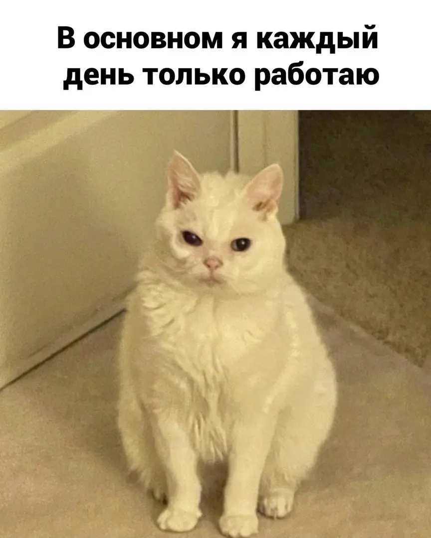 ~ тильте ~ | Сетка — социальная сеть от hh.ru