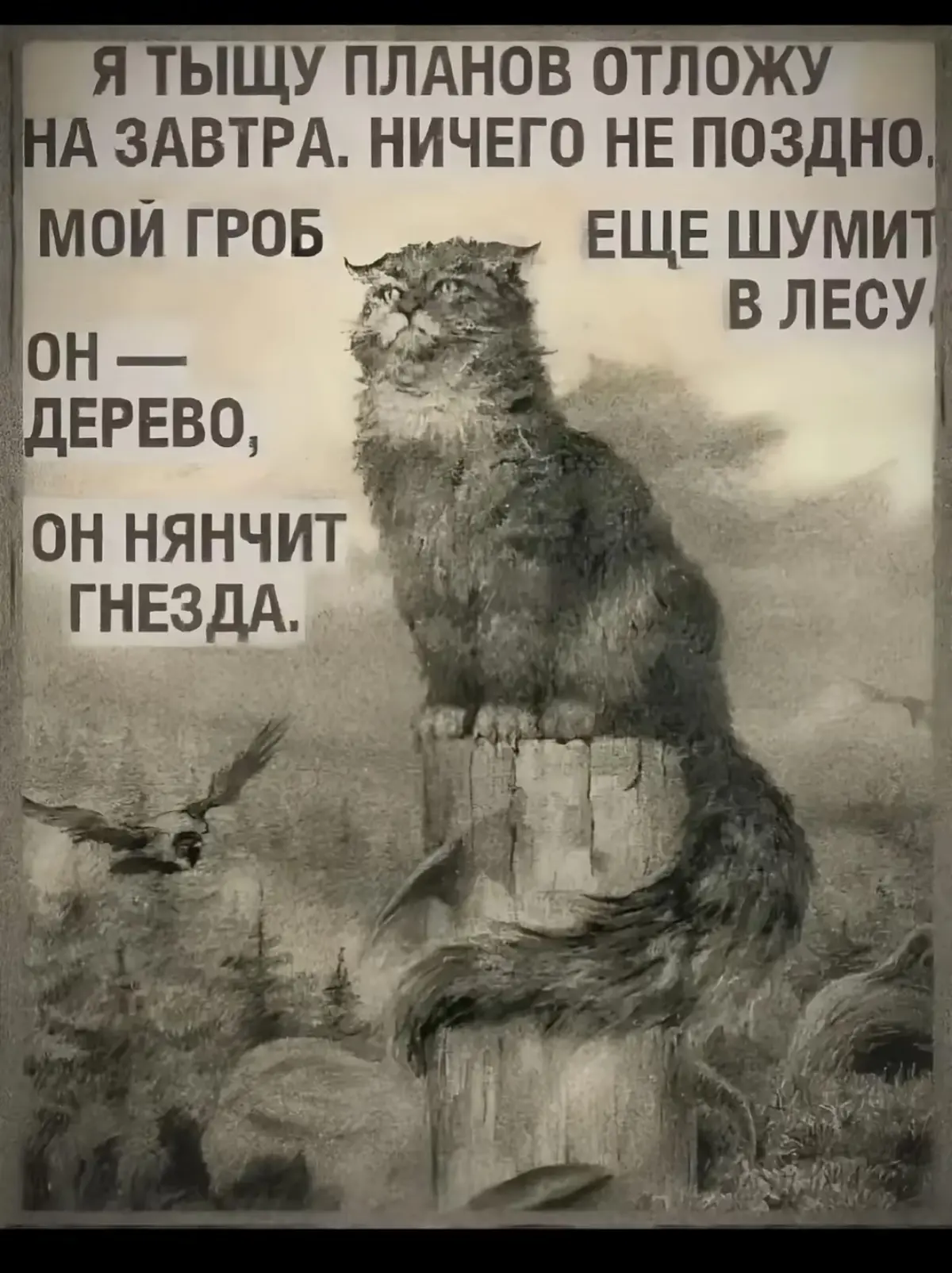 Люди-Манулы | Сетка — социальная сеть от hh.ru