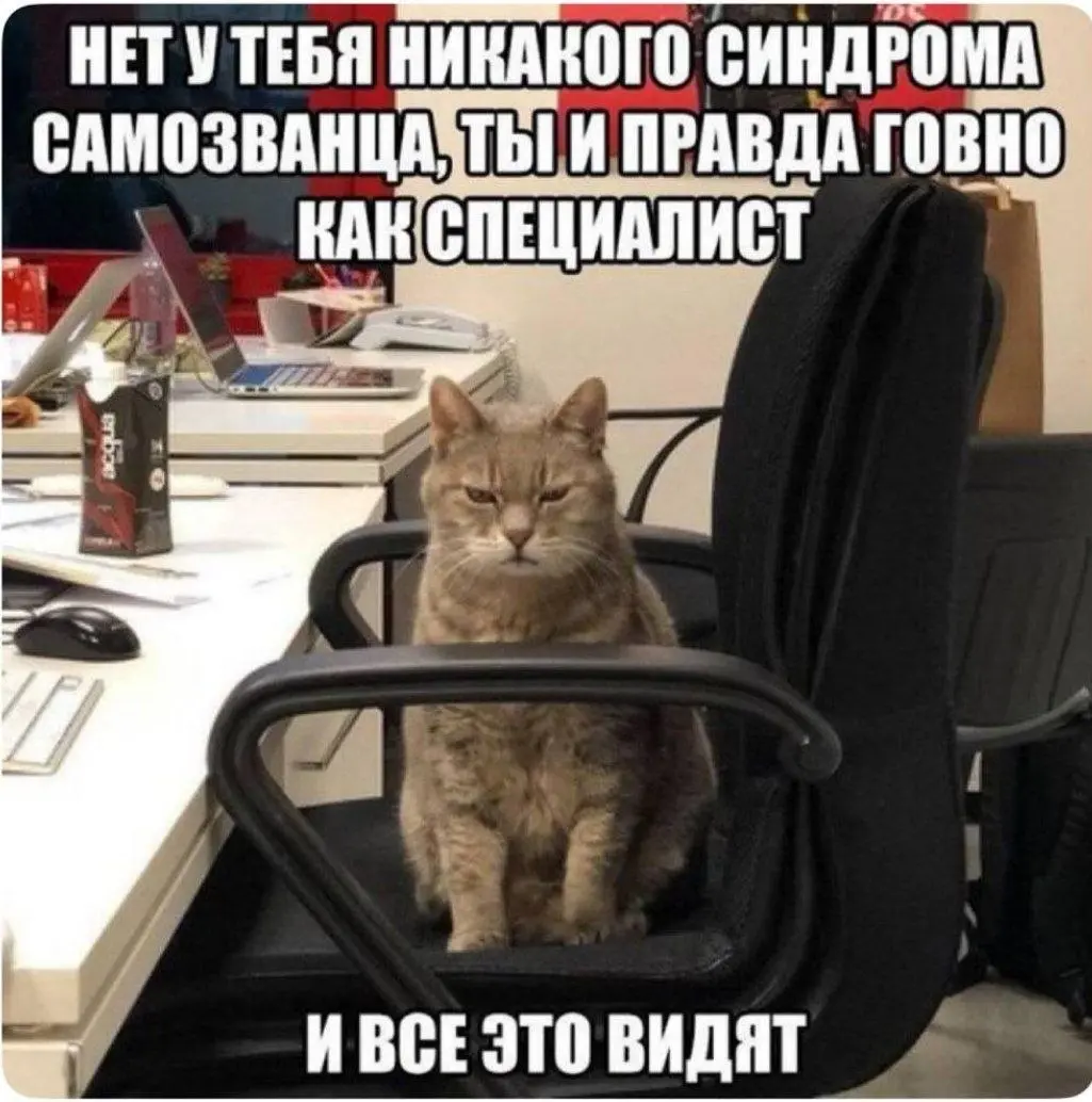 Мотивируйся правильно, не слушай кота🙂 | Сетка — социальная сеть от hh.ru