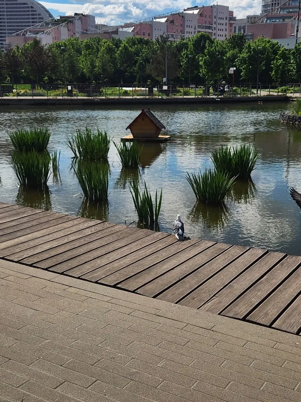 День, который должен был быть дождливый, оказалася солнечным и классным.
Побольше бы таких активных и тёплых выходных. | Сетка — социальная сеть от hh.ru