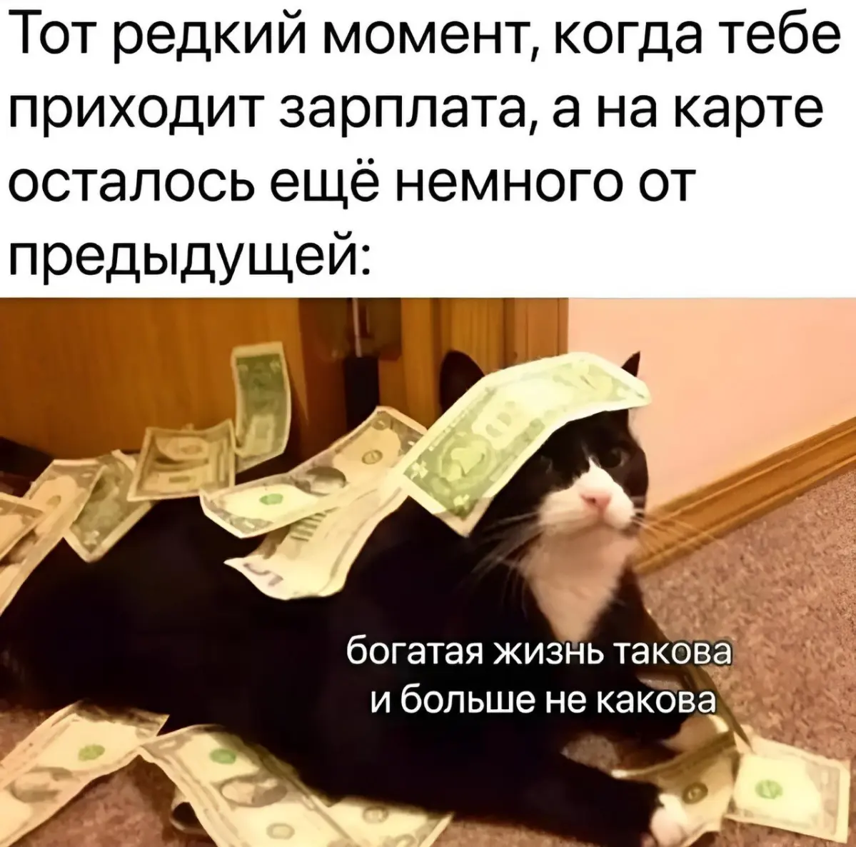 #GTМемотерапия
Всегда бы так 💵
#Мемы | Сетка — социальная сеть от hh.ru