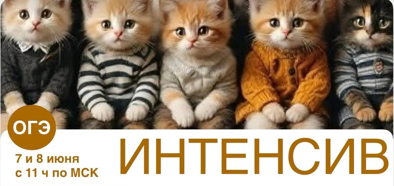 🖋🖋🖋🖋🖋🖋🖋🖋перед 🖋🖋🖋 ( 9 классы)
🖋🖋🖋 🖋🖋🖋
💬🛜7️⃣ 🖋🖋🖋🖋
1️⃣ЧАСТЬ - тестовые задания
📝11.00- 12.00 занятие
☕️🎂 - 1 час перерыв
2️⃣ ЧАСТЬ - тестовые задания
📝13.00- 14.00 занятие
💬🛜8️⃣ 🖋🖋🖋🖋
📝11.00- 12 | Сетка — социальная сеть от hh.ru