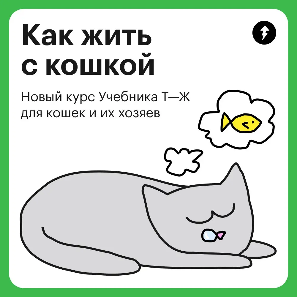 — Классно, с тобой кошка живет.
— Нет, это я с ней | Сетка — социальная сеть от hh.ru