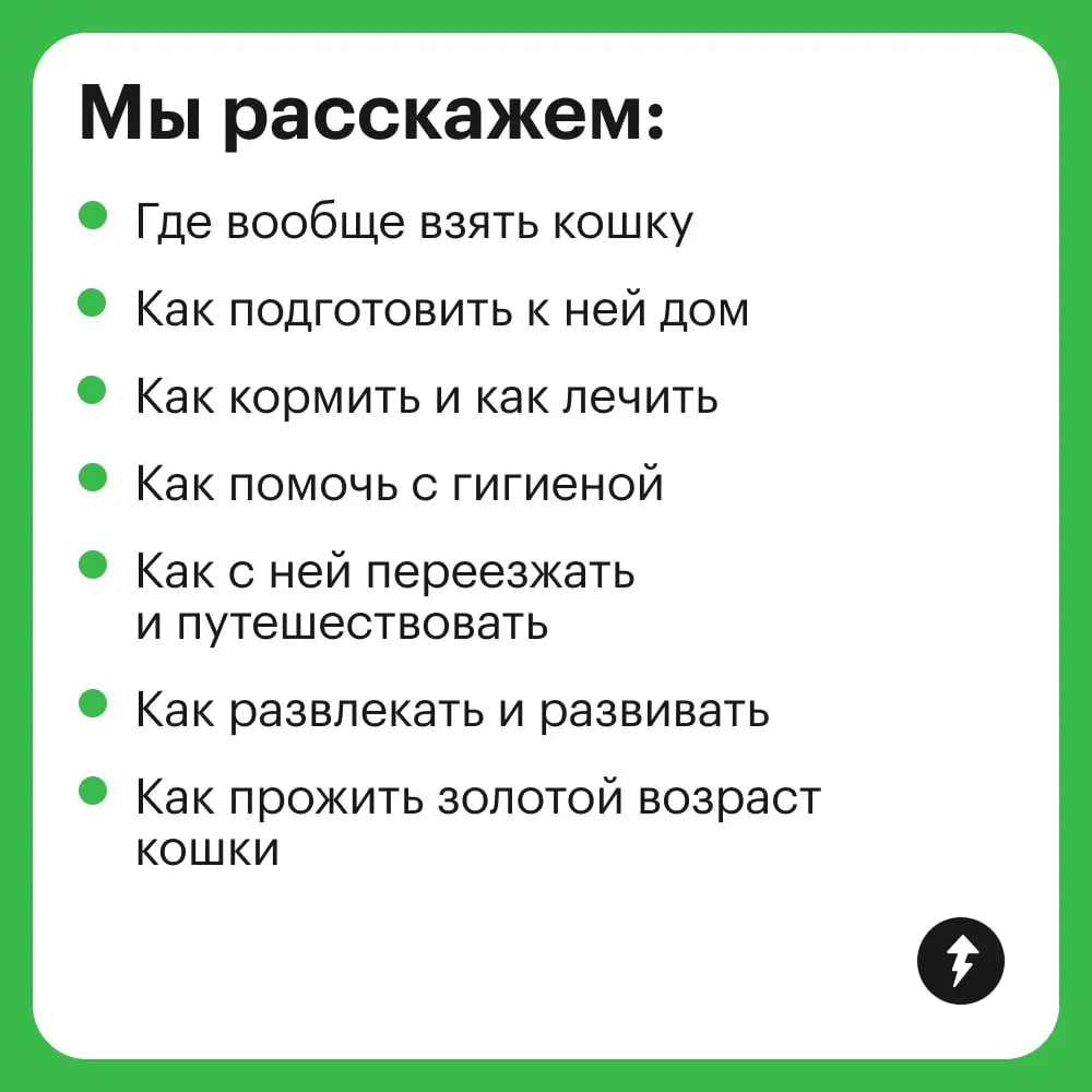 — Классно, с тобой кошка живет.
— Нет, это я с ней | Сетка — социальная сеть от hh.ru