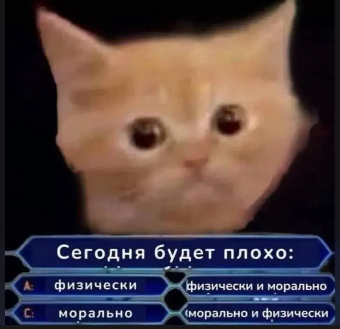 С началом рабочей недели 😁 | Сетка — социальная сеть от hh.ru