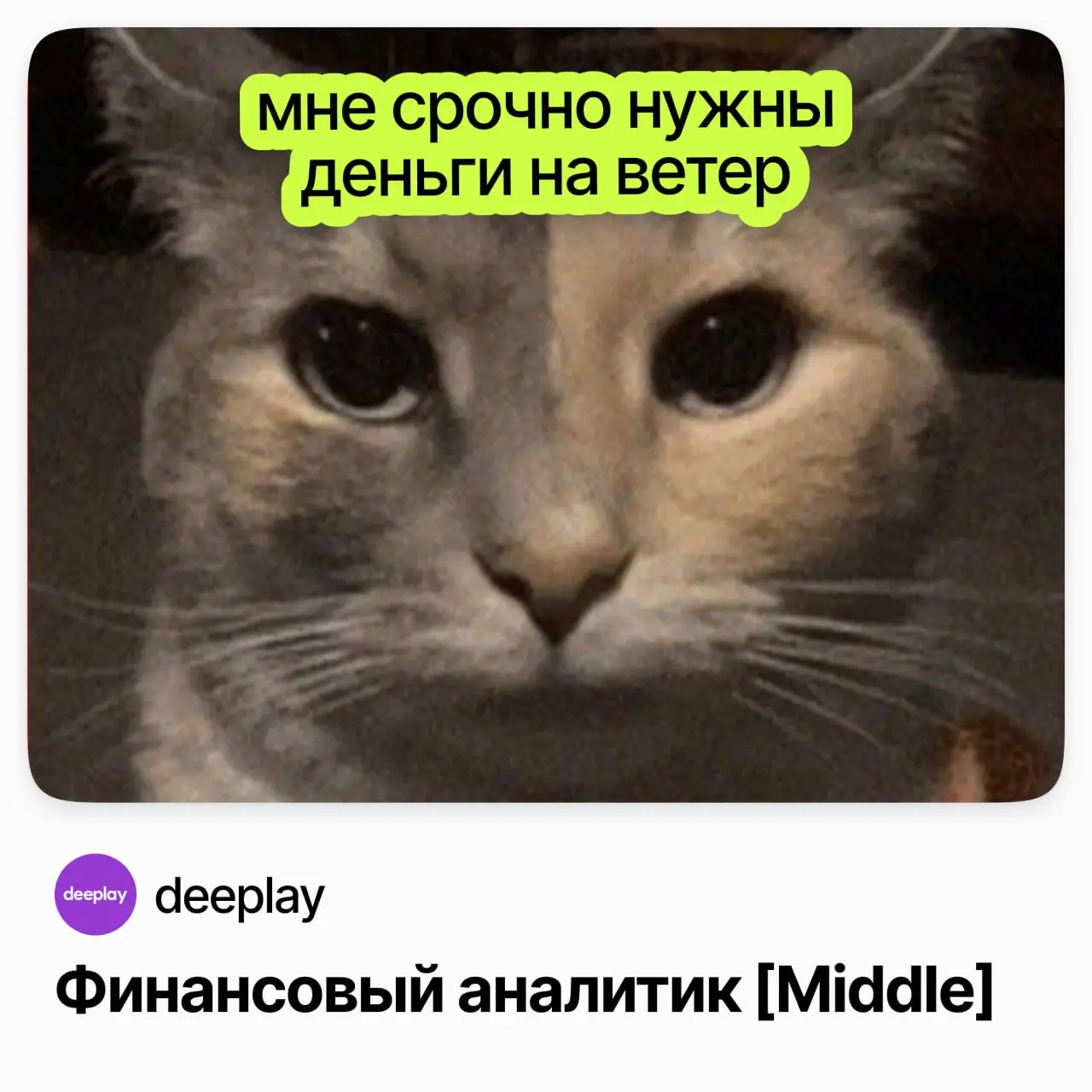 Финансовый аналитик [Middle] / deeplay | Сетка — социальная сеть от hh.ru