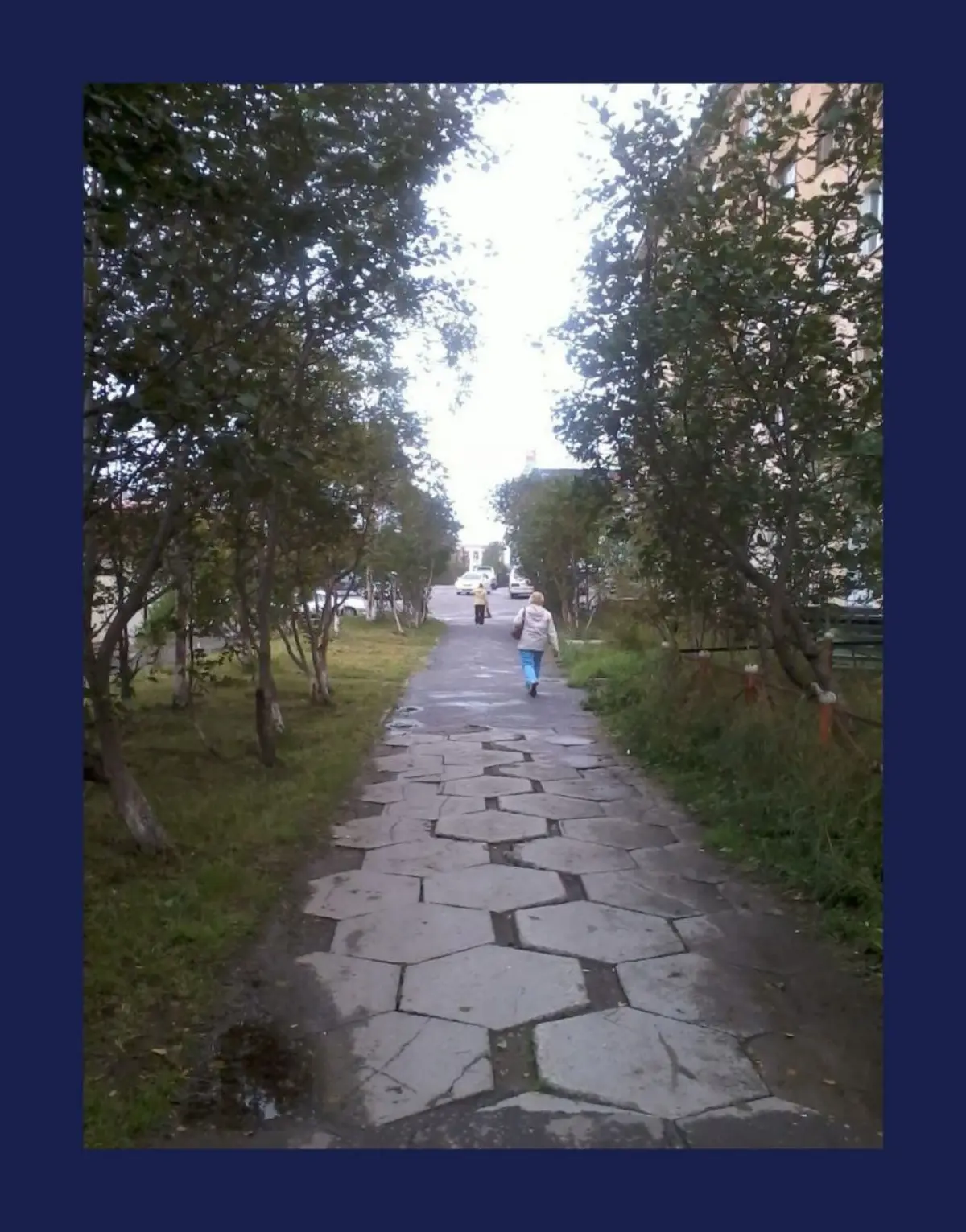 Фирменное. Остатки. / Magadan own style. Residue. | Сетка — социальная сеть от hh.ru