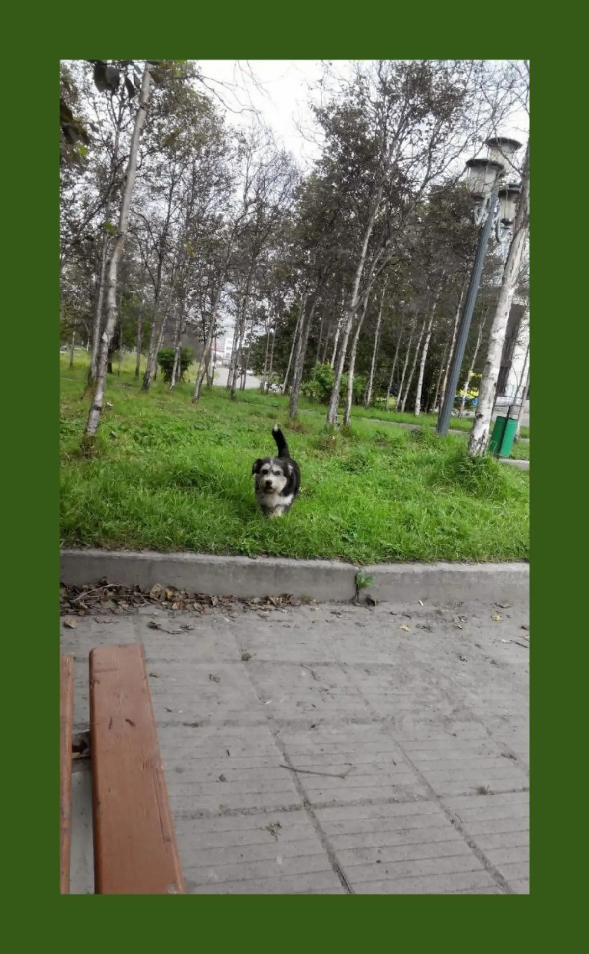 Когда встречи не ждёшь / Unexpected | Сетка — социальная сеть от hh.ru