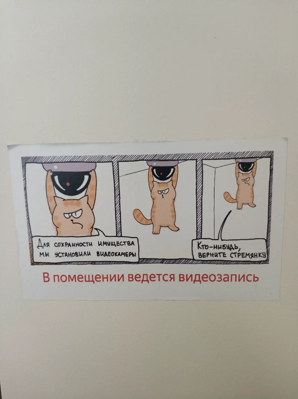 Моя карьера Frontend разработчика - часть 2 | Сетка — социальная сеть от hh.ru