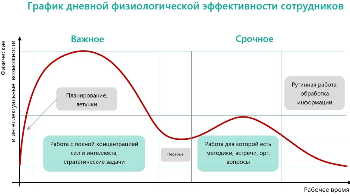 Когда закупщику лучше выполнять сложные задачи | Сетка — социальная сеть от hh.ru