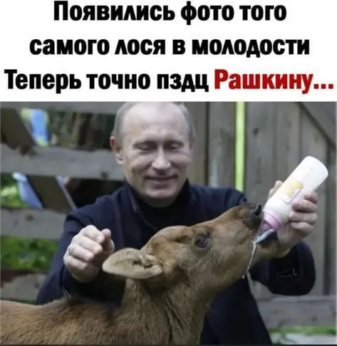Люди-Лоси | Сетка — социальная сеть от hh.ru
