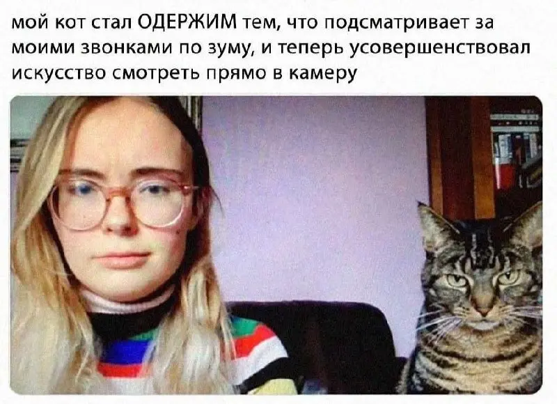 Теперь это его звонок 😂
#Юмор@poldner #Коты@poldner | Сетка — социальная сеть от hh.ru