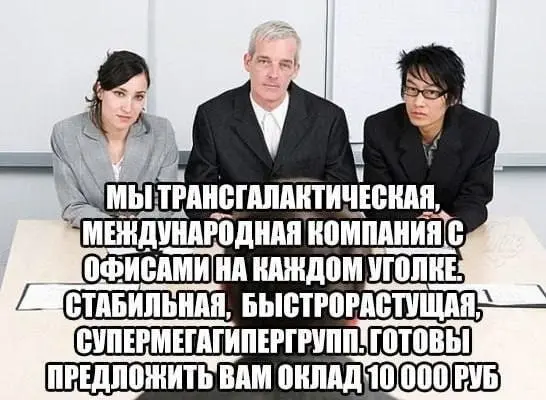 100% защиты от скуки. Активируй подписку 🗿 | Сетка — социальная сеть от hh.ru