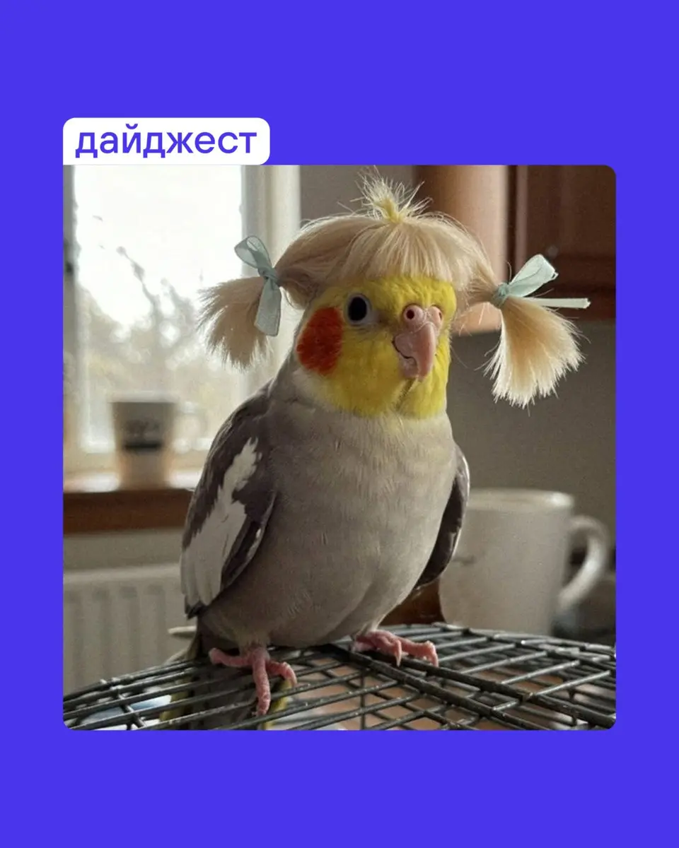 Собрали самые сливки перед выходным:
как сгорают ваши миллионы
рентген конкурентов за 1 день
три шага для крутого нейминга
бренд как инвестиция
про (не)временный лого
В этом посте были ссылки, но мы и... | Сетка — социальная сеть от hh.ru