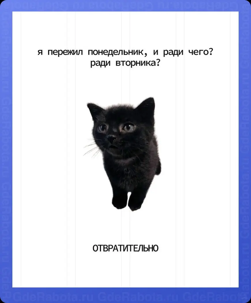 Не отчаиваемся и смотрим вакансии на GdeRabota.ru ✌
#работа #GdeRabota #вакансии | Сетка — социальная сеть от hh.ru