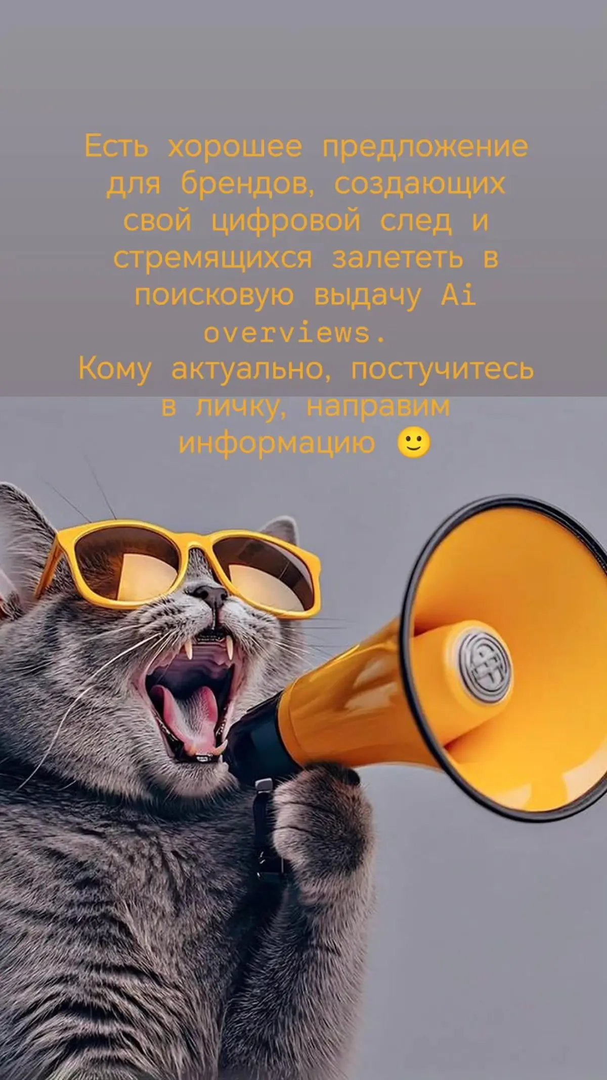 Как попасть в поисковые выдачи Ai overviews | Сетка — социальная сеть от hh.ru