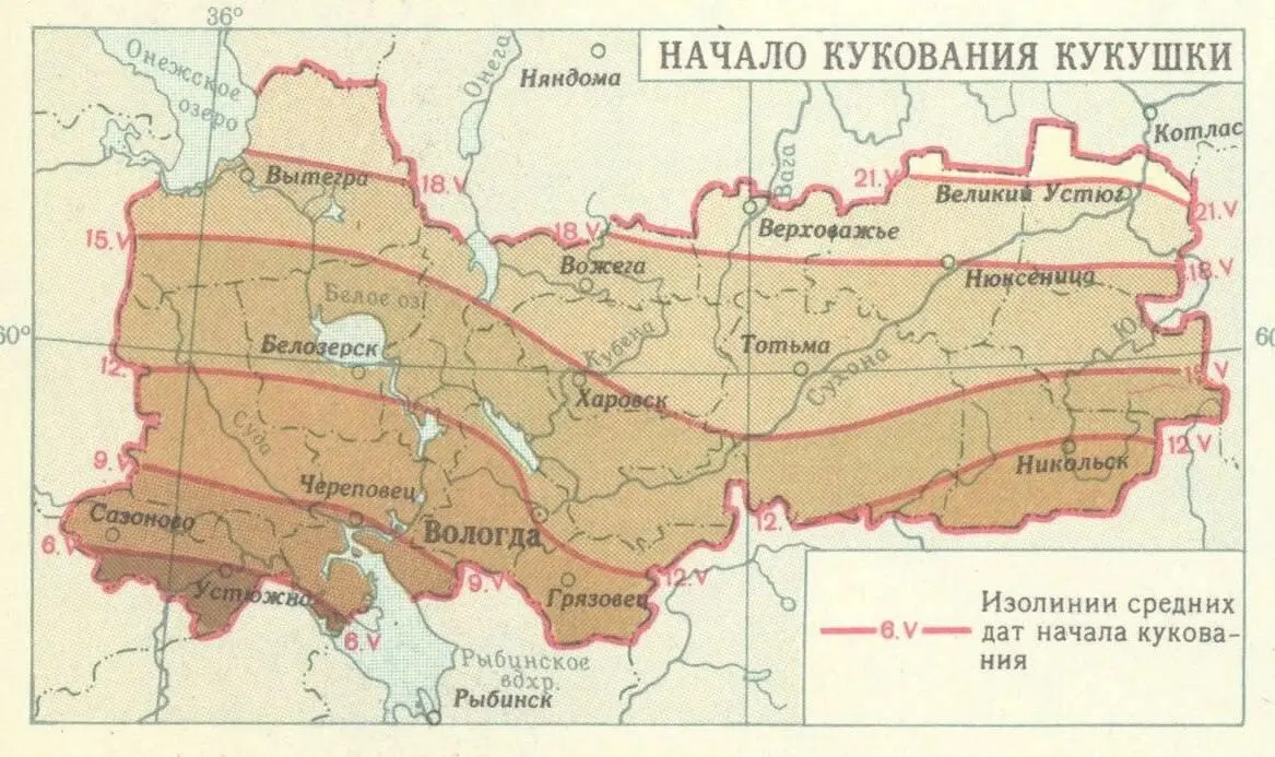 Помните, что у нас есть жесткий ответ графику сакуры! | Сетка — социальная сеть от hh.ru