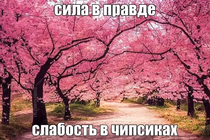Целый месяц не сидела в тиктоке
✨ результаты✨:
⬆️ жизнь стала более серой и блеклой
⬆️шутки несмешнее
⬆️ яндекс музыка надоела и перестала пополняться новыми песнями
⬆️перестала понимать что происходи... | Сетка — социальная сеть от hh.ru