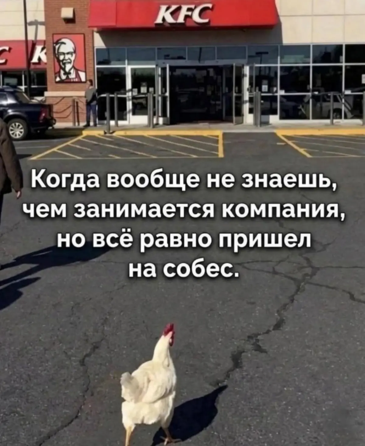 В дружный коллектив 😄 | Сетка — социальная сеть от hh.ru