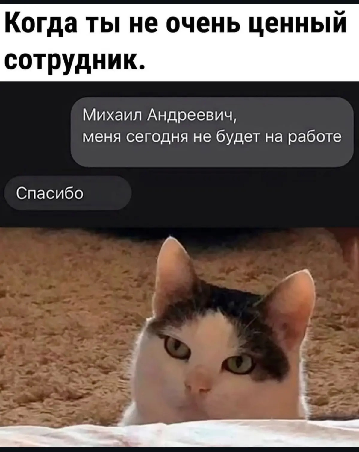 Шутка-минутка | Сетка — социальная сеть от hh.ru