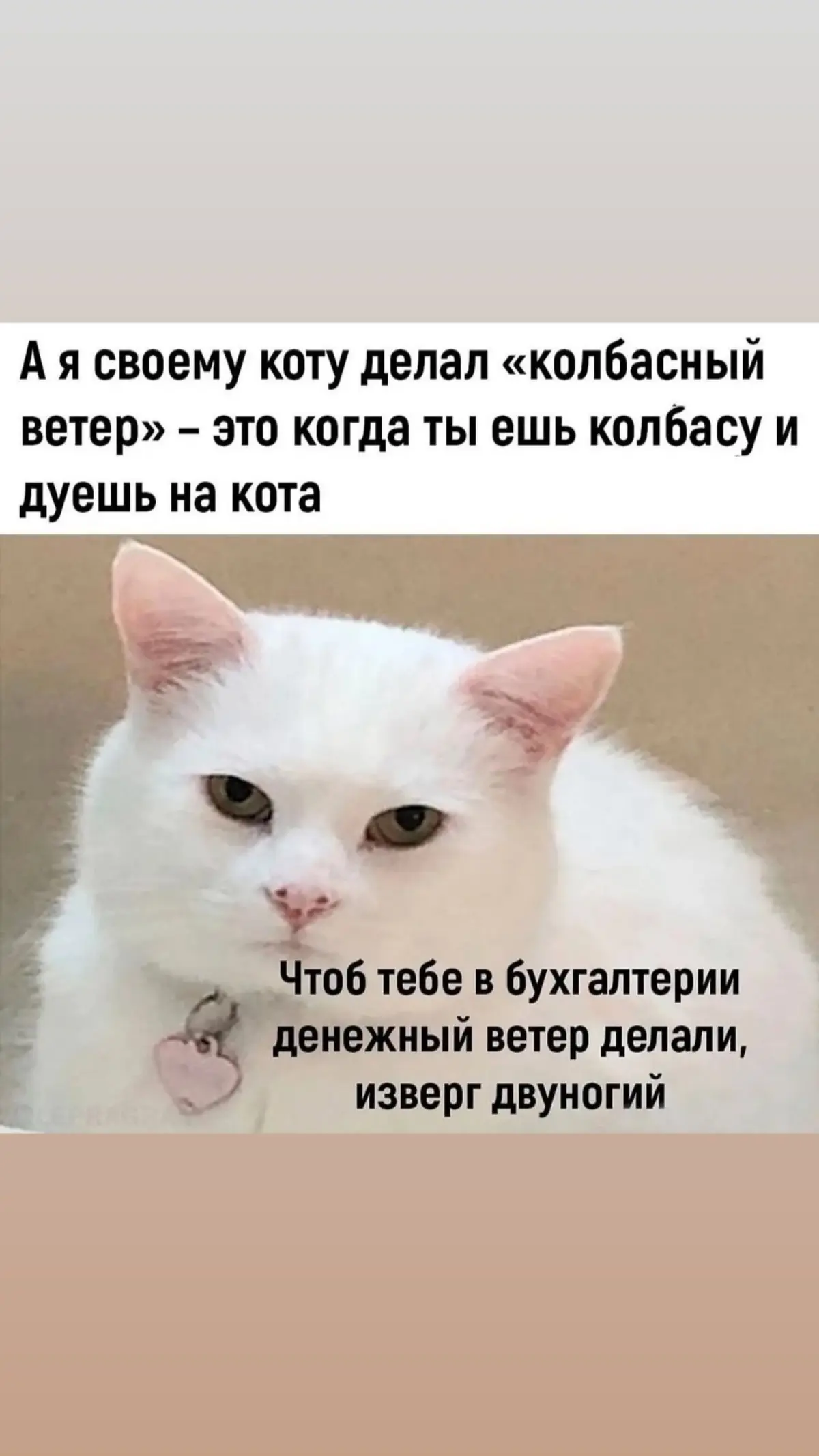 Минутка жизненной философии. 🐈💨
Иногда кажется, что работа над собой, сложные протоколы и те самые 10 000 шагов — это путь к большой цели | Сетка — социальная сеть от hh.ru
