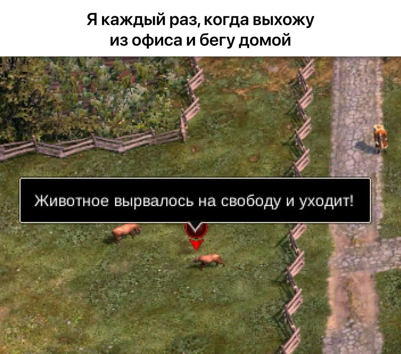#IT
😂 ПМ 💬 MAX 🛍 Другие каналы
В этом посте были ссылки, но мы их удалили по правилам Сетки | Сетка — социальная сеть от hh.ru
