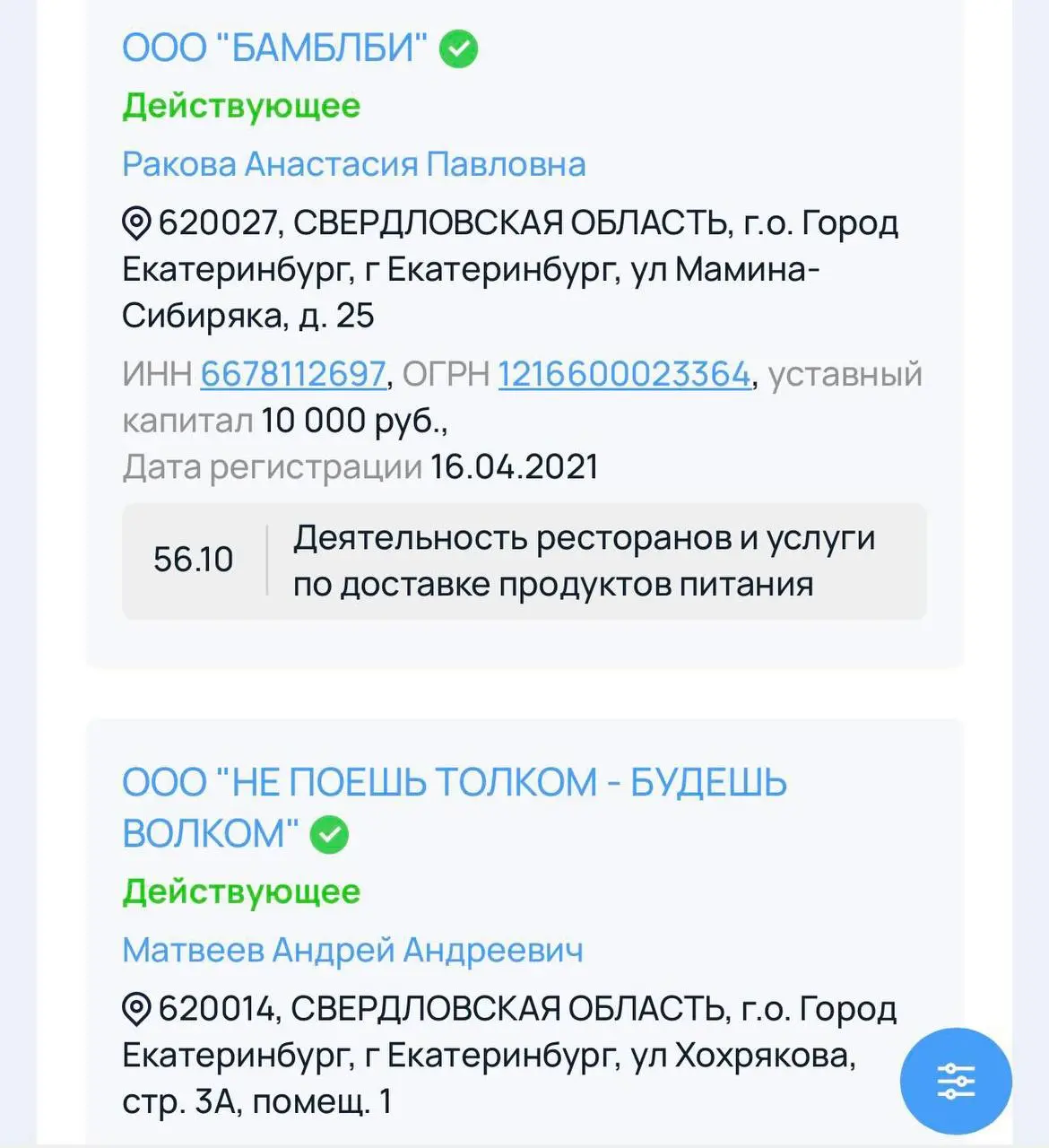 Это лучшие имена ООО, которые я видел! Ну зачем эти скучные названия? Посмотрите, как круто и с юмором подошел предприниматель из Екб (он учредитель всех этих юридических лиц) | Сетка — социальная сеть от hh.ru