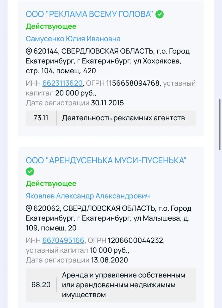 Это лучшие имена ООО, которые я видел! Ну зачем эти скучные названия? Посмотрите, как круто и с юмором подошел предприниматель из Екб (он учредитель всех этих юридических лиц) | Сетка — социальная сеть от hh.ru