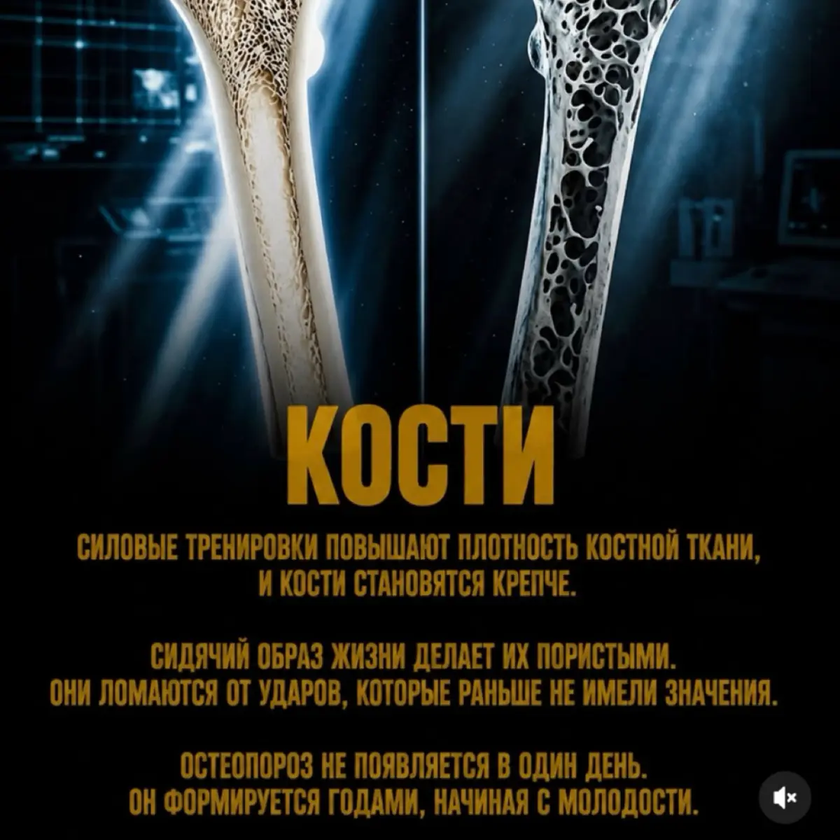 📚✅ | Сетка — социальная сеть от hh.ru