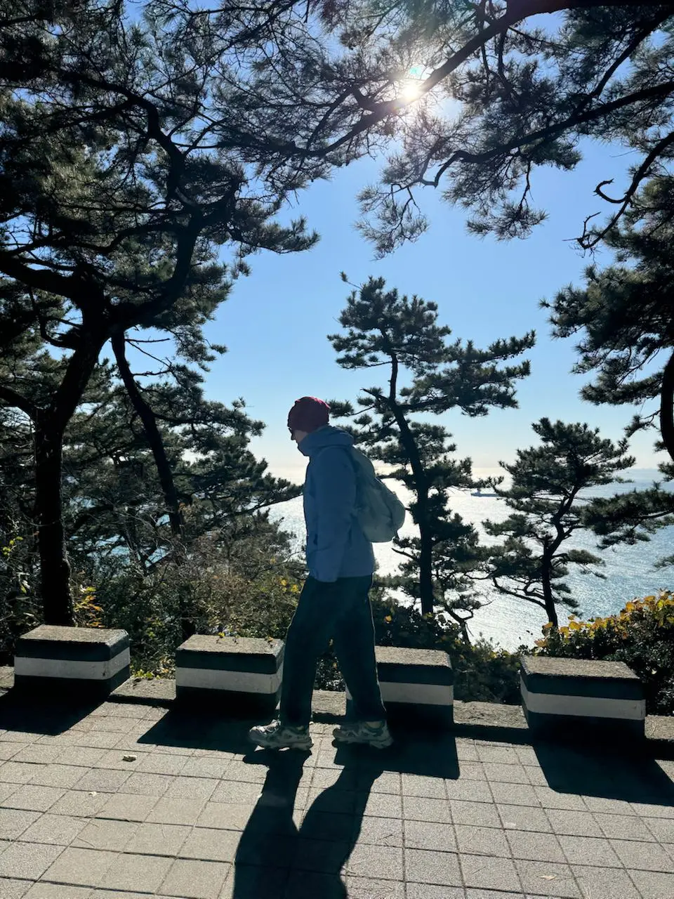 🇰🇷Пусан
Из Сеула до Пусана можно долететь, но зачем, если есть электричка. Везде пишут про какой-то поезд в Пусан, но я не понял зачем электричку обзывать поездом | Сетка — социальная сеть от hh.ru