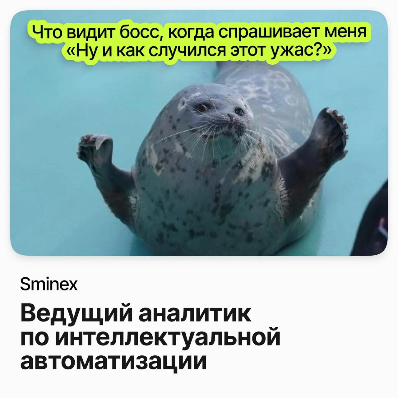Ведущий аналитик по автоматизации процессов / Sminex | Сетка — социальная сеть от hh.ru