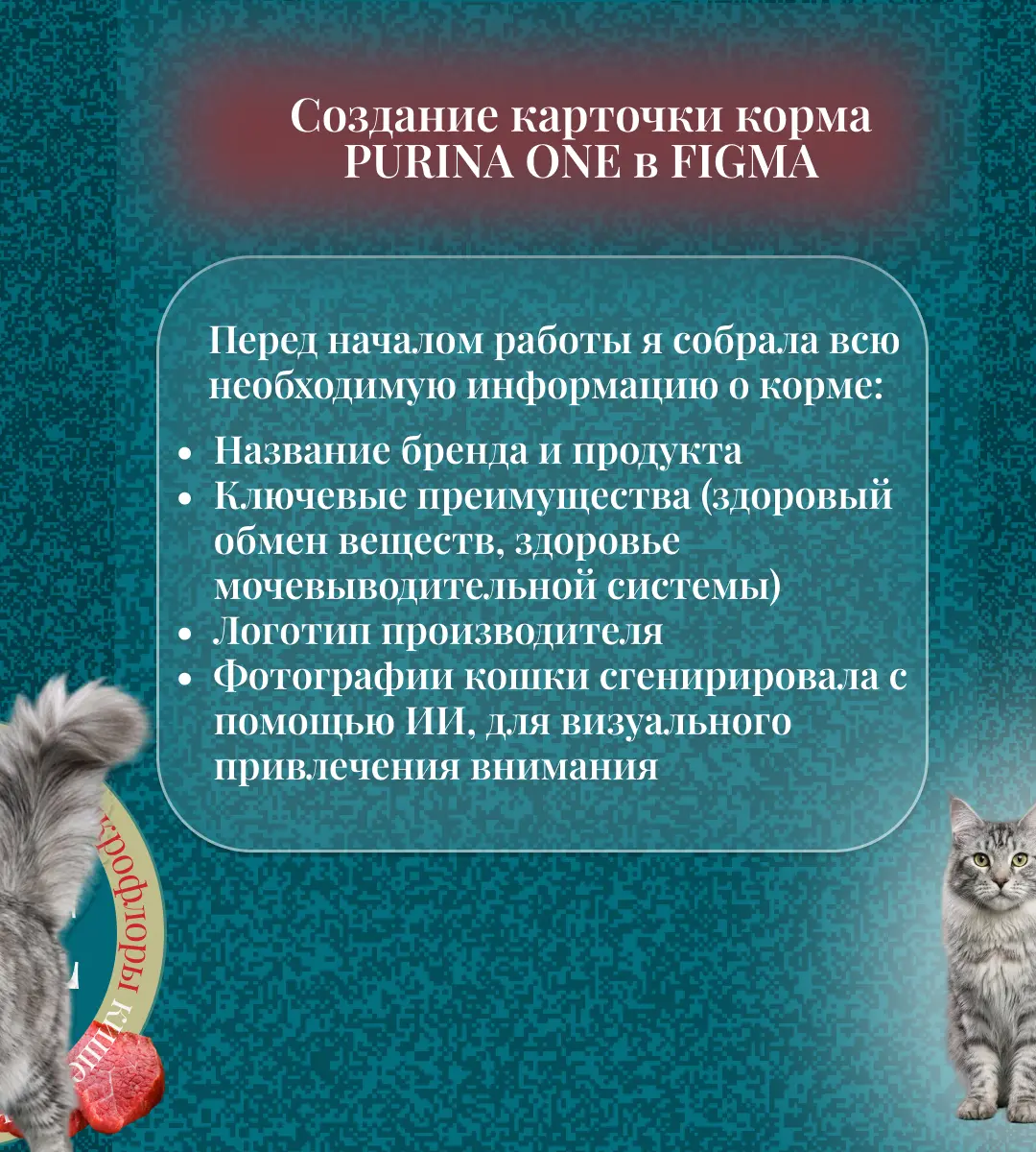 Хотите такую же информативную карусель для ВК и Инстаграм? Присылайте  ваш заказ и я оформлю в лучшем виде  😉
#дизайн #инфографика #карусельВК #карусельинстограм  #заказнадизайн #карточкатовара | Сетка — социальная сеть от hh.ru