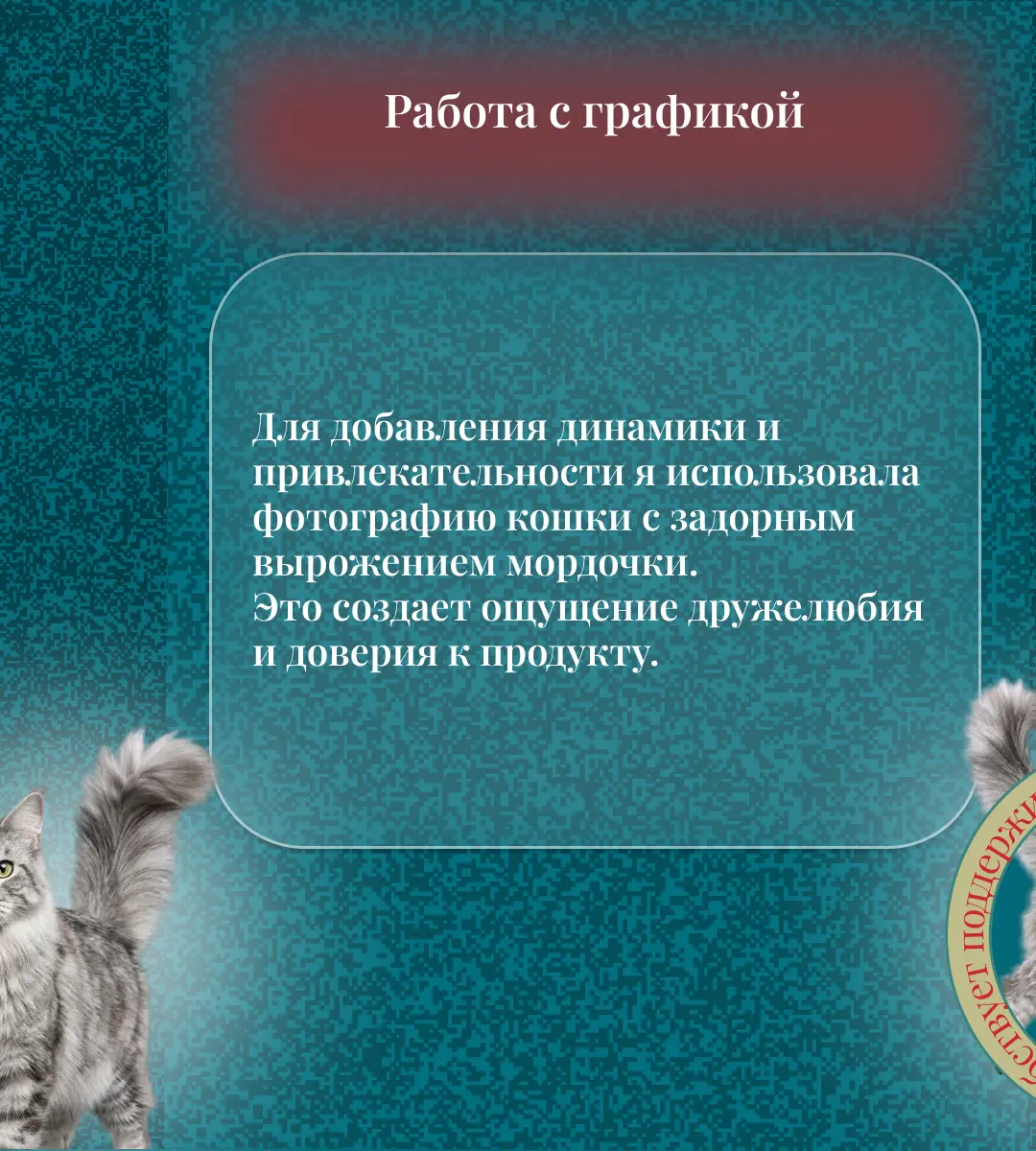 Хотите такую же информативную карусель для ВК и Инстаграм? Присылайте  ваш заказ и я оформлю в лучшем виде  😉
#дизайн #инфографика #карусельВК #карусельинстограм  #заказнадизайн #карточкатовара | Сетка — социальная сеть от hh.ru