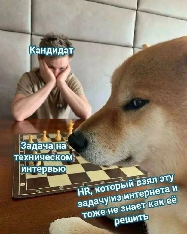 Вот такие шахматы 😂
#Юмор@poldner
#Собака@poldner | Сетка — социальная сеть от hh.ru