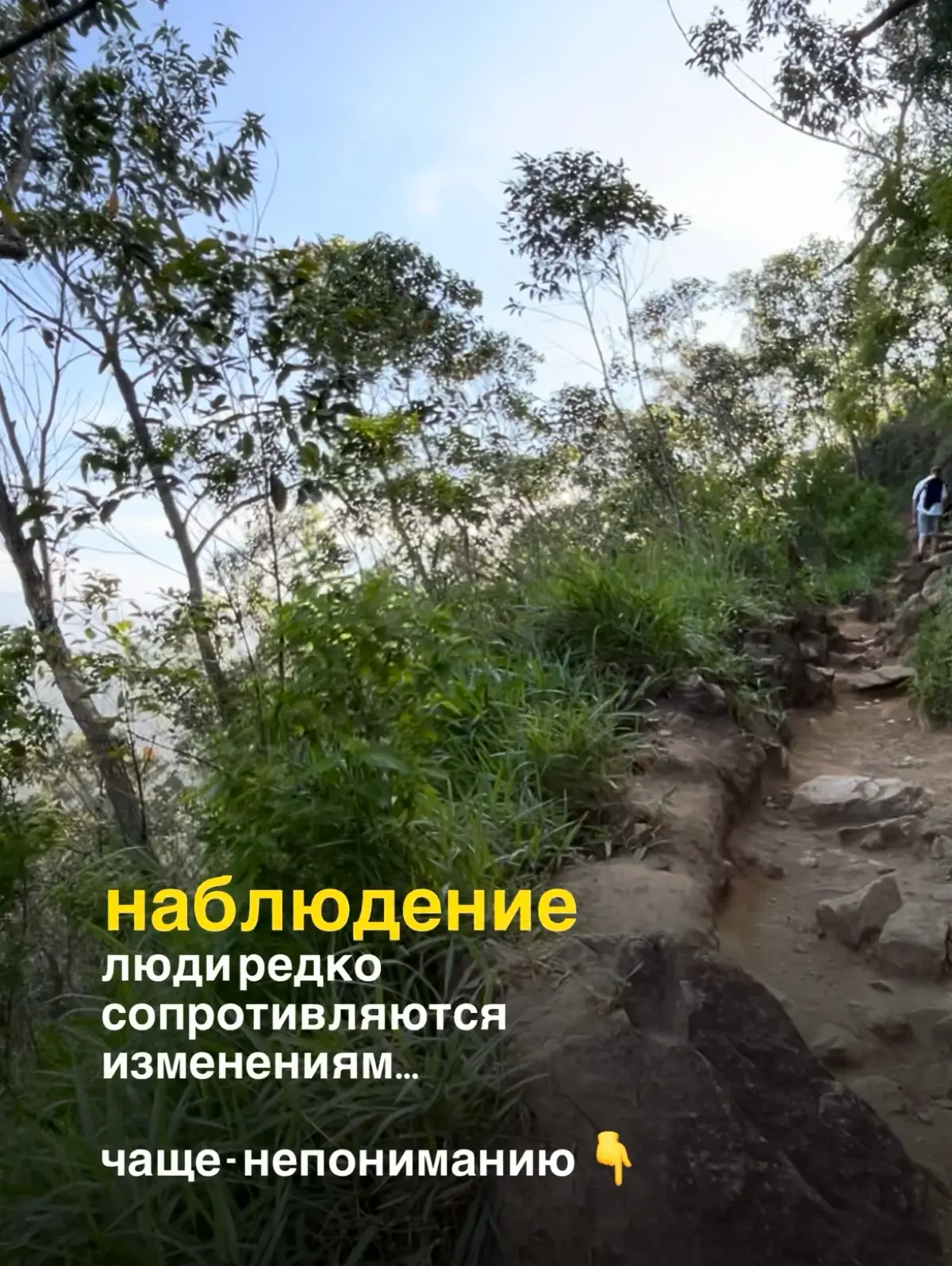 ☕️ Сотрудники не хотят меняться… знакомо? | Сетка — социальная сеть от hh.ru