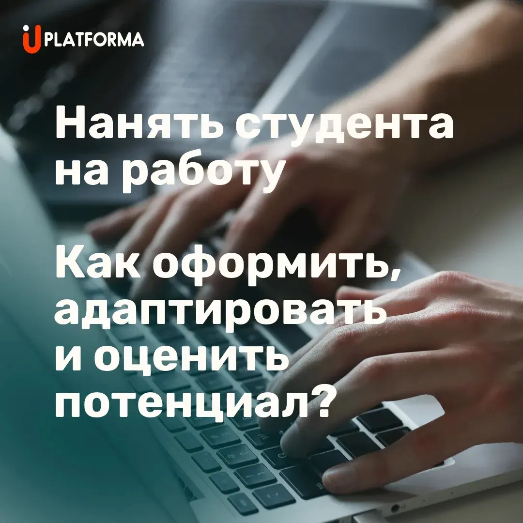 Нанять студента на работу: от оформления до оценки | Сетка — социальная сеть от hh.ru