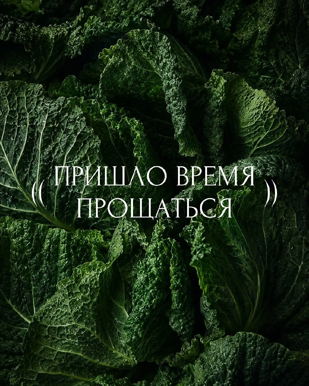 ((( CHOUX ))) как бренд одежды прощается с вами!
Мы завершаем продажу изделий и приглашаем вас провести последние дни вместе с нами!
Спасибо каждой чуксинке, которая выбирала наши изделия, ждала новые... | Сетка — социальная сеть от hh.ru