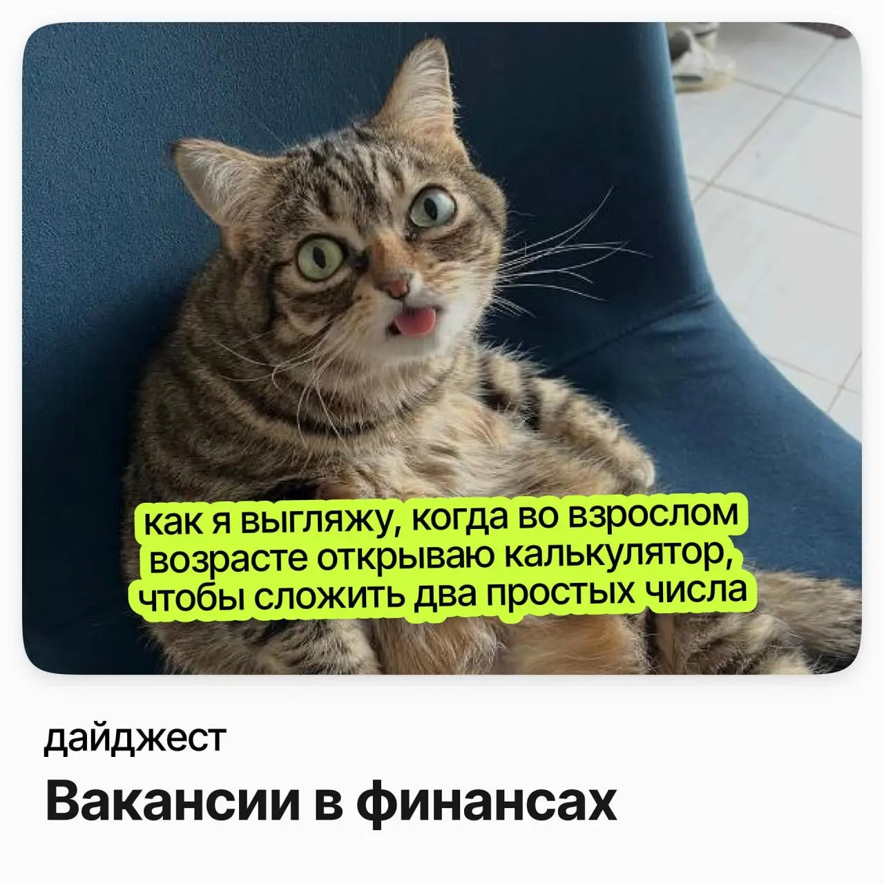 Вакансии в финансах | Сетка — социальная сеть от hh.ru