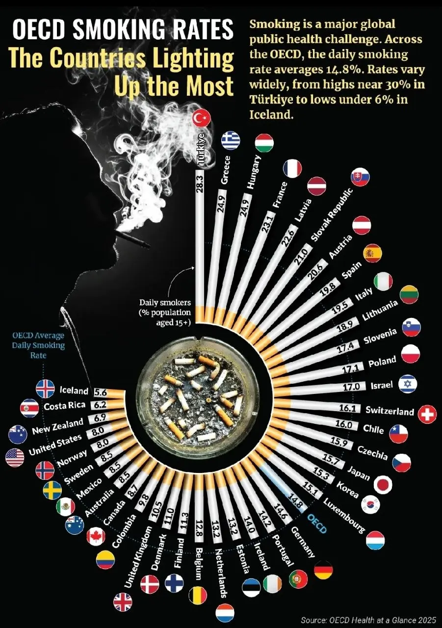 🤩Статистика курения 2025 по странам
🇷🇺В России курит по статистике 18.6%
По нашим данным (на предприятиях, добычи и рудниках) - до 60%🙈 | Сетка — социальная сеть от hh.ru