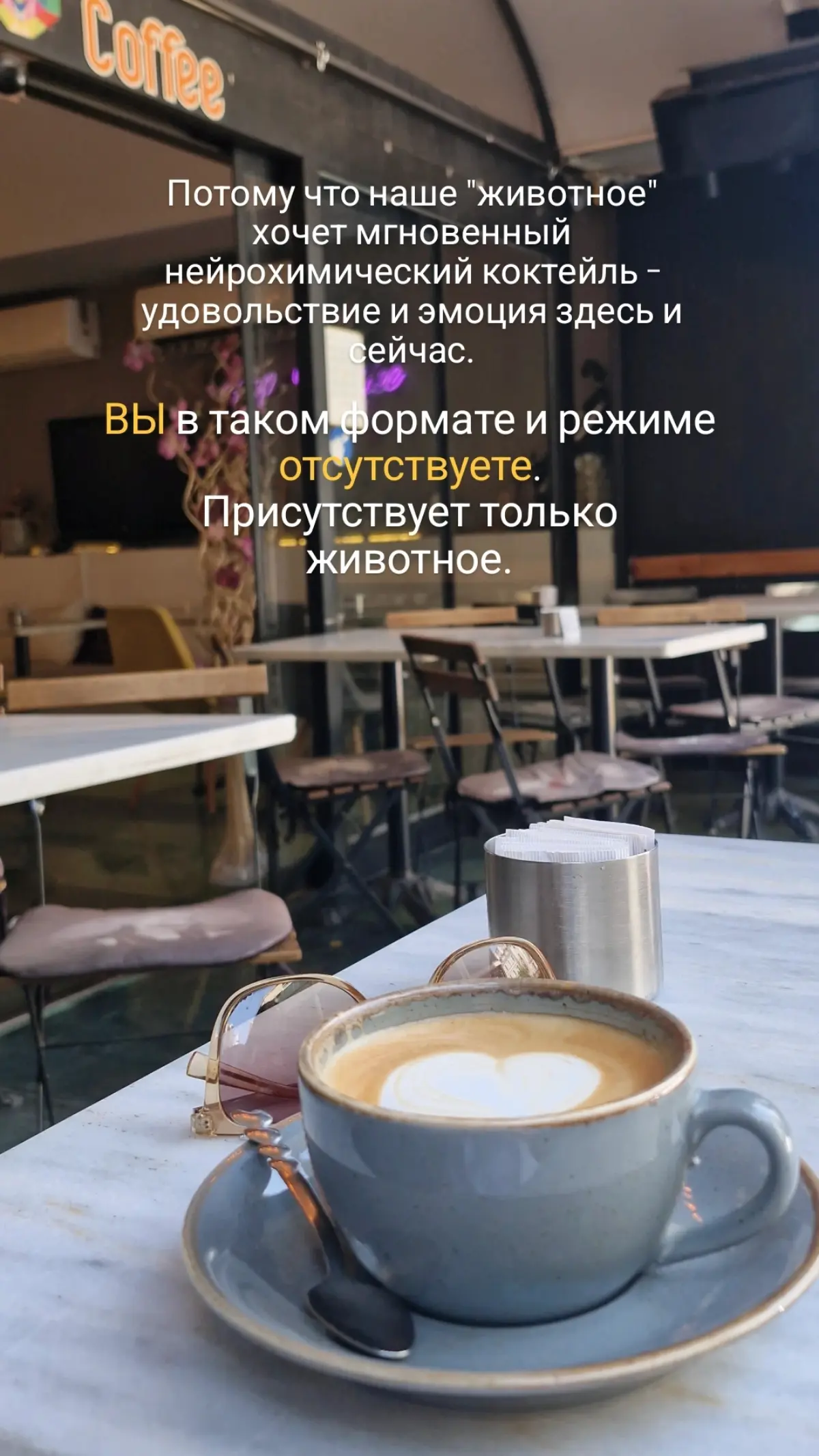 Сериалы, мелодрамы, новости 🙌 | Сетка — социальная сеть от hh.ru
