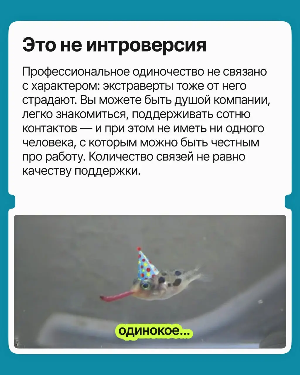 Профессиональное одиночество — это когда у вас есть и друзья, и коллеги, но вам всё равно не с кем обсудить рабочие или карьерные вопросы. И чем выше вы поднимаетесь, тем сильнее оно ощущается | Сетка — социальная сеть от hh.ru